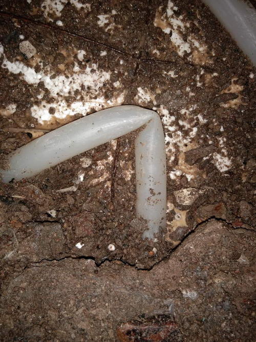 尉犁堵点精准查找